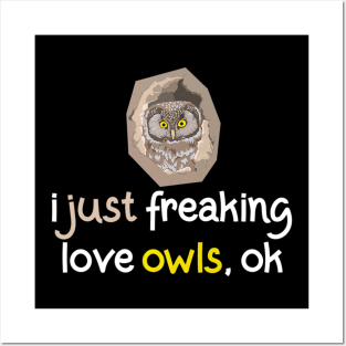 owls ok Posters and Art